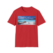 Load image into Gallery viewer, T-Shirt made from very soft materials, no side seams. Feels like bliss to wear! Many designs by Kerry Sandhu Art
