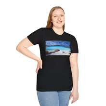 Load image into Gallery viewer, T-Shirt made from very soft materials, no side seams. Feels like bliss to wear! Many designs by Kerry Sandhu Art