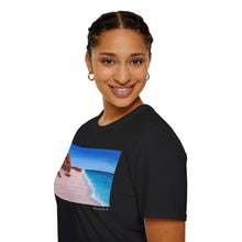 Load image into Gallery viewer, T-Shirt made from very soft materials, no side seams. Feels like bliss to wear! Many designs by Kerry Sandhu Art