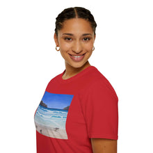 Load image into Gallery viewer, T-Shirt made from very soft materials, no side seams. Feels like bliss to wear! Many designs by Kerry Sandhu Art