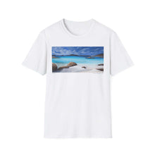 Load image into Gallery viewer, T-Shirt made from very soft materials, no side seams. Feels like bliss to wear! Many designs by Kerry Sandhu Art