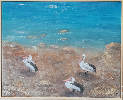 Original painting of three Australian pelicans on a beach by Kerry Sandhu Art