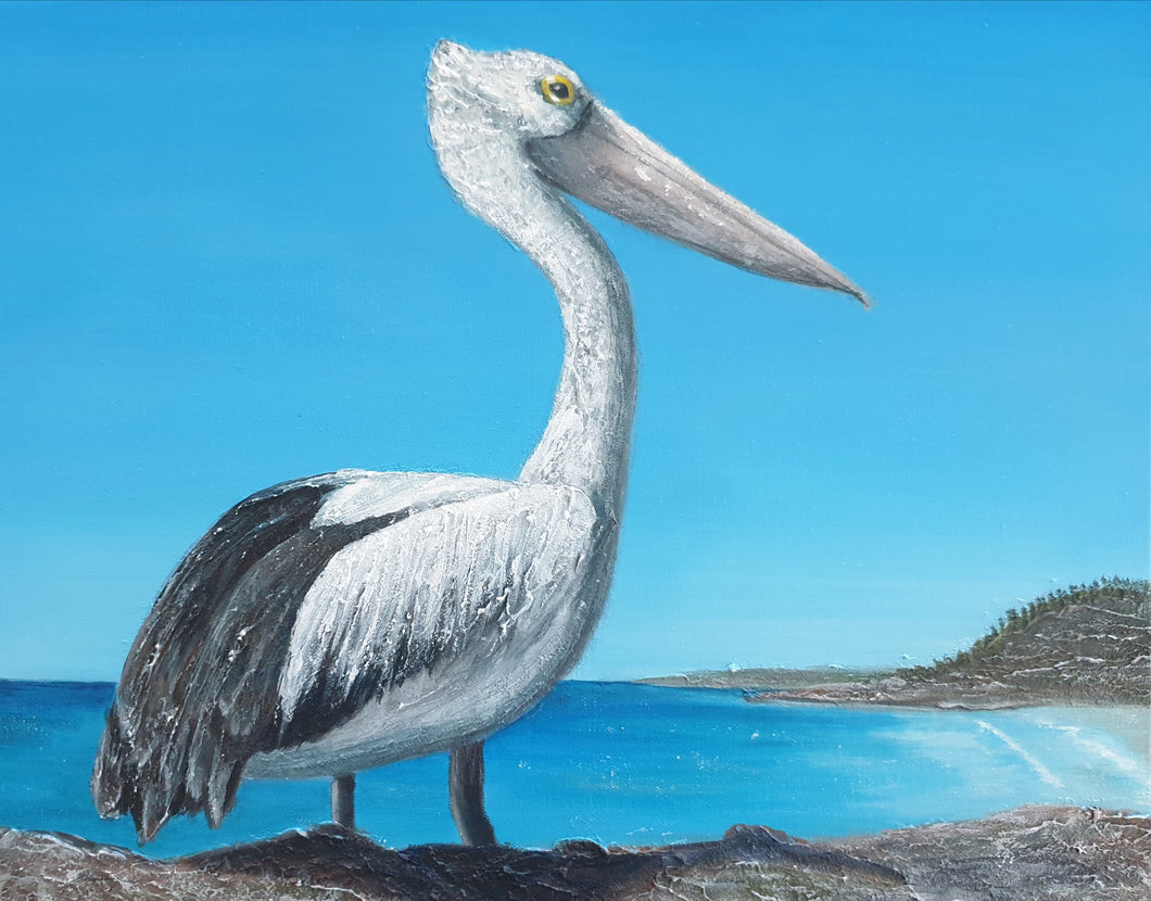 Original painting of an Australian pelican standing rocks overlooking a beach by Kerry Sandhu Art