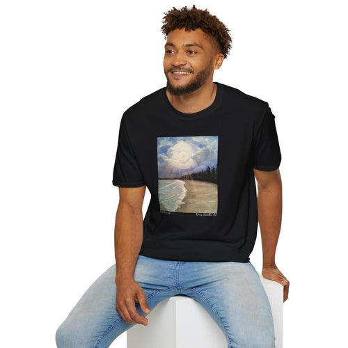 T-Shirt made from very soft materials, no side seams. Feels like bliss to wear! Many designs by Kerry Sandhu Art