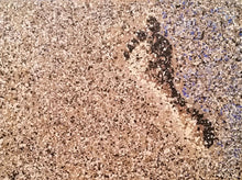 Load image into Gallery viewer, 'Run To The Water' - ORIGINAL ARTWORK - by Kerry Sandhu Art

